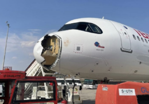 Avión aterriza de emergencia tras chocar con buitre en Madrid